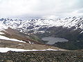 Dientes de Navarino