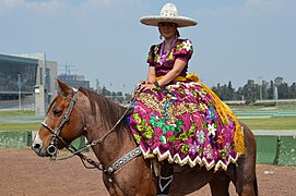 Femme avec une robe très riche en couleur sur un cheval marron au repos