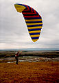 Apco Activa paraglider