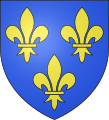 Armes de France : D'azur à trois fleurs de lys d'or.