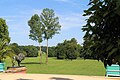 Fürst-Pückler-Park Bad Muskau in der Oberlausitz (Deutschland/Polen)