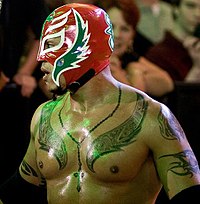 Portrait Photograph of masked wrestler without a shirt, wearing black armbands that blend into background