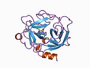 1au8: کاتپسین جی انسانی