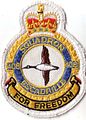 408 Sqn crest