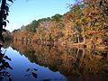 Der Bouton Lake im Angelina National Forest