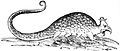 Serpentumdan Basilisk , et draconum historiae libri duo (1640)