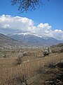 Le colline a vigneti.