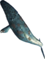 File:Whalethumb.png