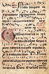 The Introit Gaudeamus omnes