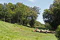 Fürst-Pückler-Park Bad Muskau in der Oberlausitz (Deutschland/Polen)