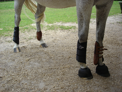 Guêtres de cross et d'hippique pour comparaison.