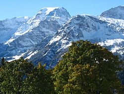 De Tödi (3612 m) vanuit Braunwald