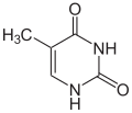 Thyminum (T)