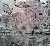 Egyptian temple relief detail of pelicans