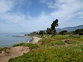 Carpinteria State Beach.