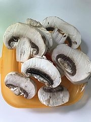 Zucht-Champignon Zweisporiger Egerling Agaricus bisporus