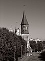 Cathedral seen from Estakadnyy bridge