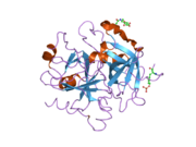 1twx: Crystal structure of the thrombin mutant D221A/D222K