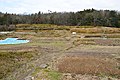 寺町廃寺（三谷寺）