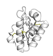 Plant lipid transfer proteins