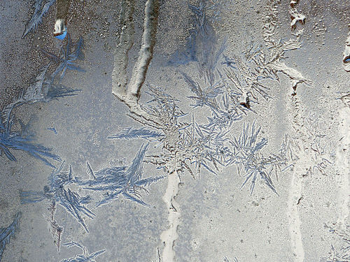 Eisblumen am Fenster (Österreich)