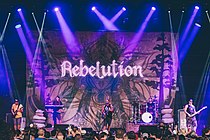 Rebelution, 2014