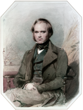 Three quarter length portrait of Darwin aged about 30, with straight brown hair receding from his high forehead and long side-whiskers, smiling quietly, in wide lapelled jacket, waistcoat and high collar with cravat.