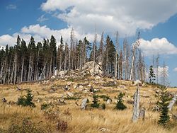 69. Platz: Susagep mit Blick auf den Gipfel des Wolfsbergs bzw. Pfortenbergs (685 m) im Landschaftsschutzgebiet „Harz und Vorländer“ in der Nähe des Ferdinandsteins