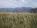 Vue du mont Okabe.