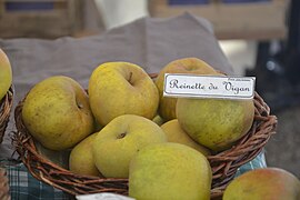 Pomme variété reinette du Vigan.