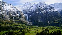 Alps Bernesos des de Grindelwald