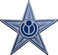 Gwiazdka za napisanie mnóstwa haseł w pięciu kategoriach specjalnych konkursu (Nie)znane kobiety Wikipedii 2021!