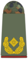 Alemanha: Brigadegeneral