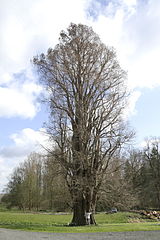 Harveng, Belgium