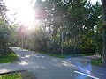 Cycle road in Pirita