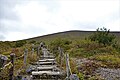 2021年6月6日 (日) 13:59時点における版のサムネイル