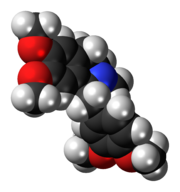 Space-filling model