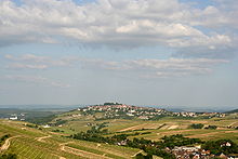 Le sancerre.