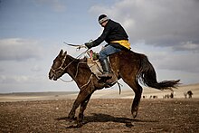 Un homme assis sur un cheval marron levant ses pattes arrières