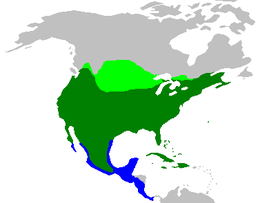 Télen (kék), Nyáron (világoszöld), Egész évben (sötétzöld)