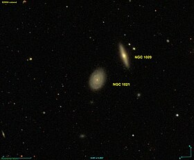 Image illustrative de l’article NGC 1021