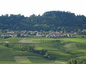 Blick auf Bougy-Villars