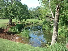 the river flowing between grassy banks with trees on both sides