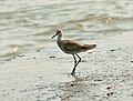 Tecolutla, Veracruz, Mexico