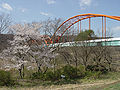 拝島水道橋、昭島市、多摩川