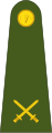 Commandant (Irish: Ceannfort) (Irish Army)[1]