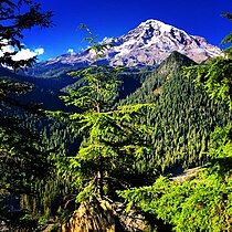 Mount Rainier mendiaren ikuspegia parke nazionaletik.