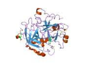 1way: ACTIVE SITE THROMBIN INHIBITORS