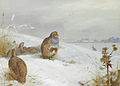 Hard times – partridges and a hare. Watercolour. 36 x 50 cm