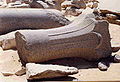 Fragments de les columnes palmiformes del centre del peristil del temple funerari de la Piràmide de Djedkare